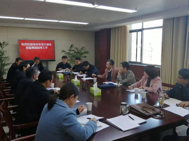 中國農(nóng)業(yè)發(fā)展銀行安徽省分行領導蒞臨集團指導工作