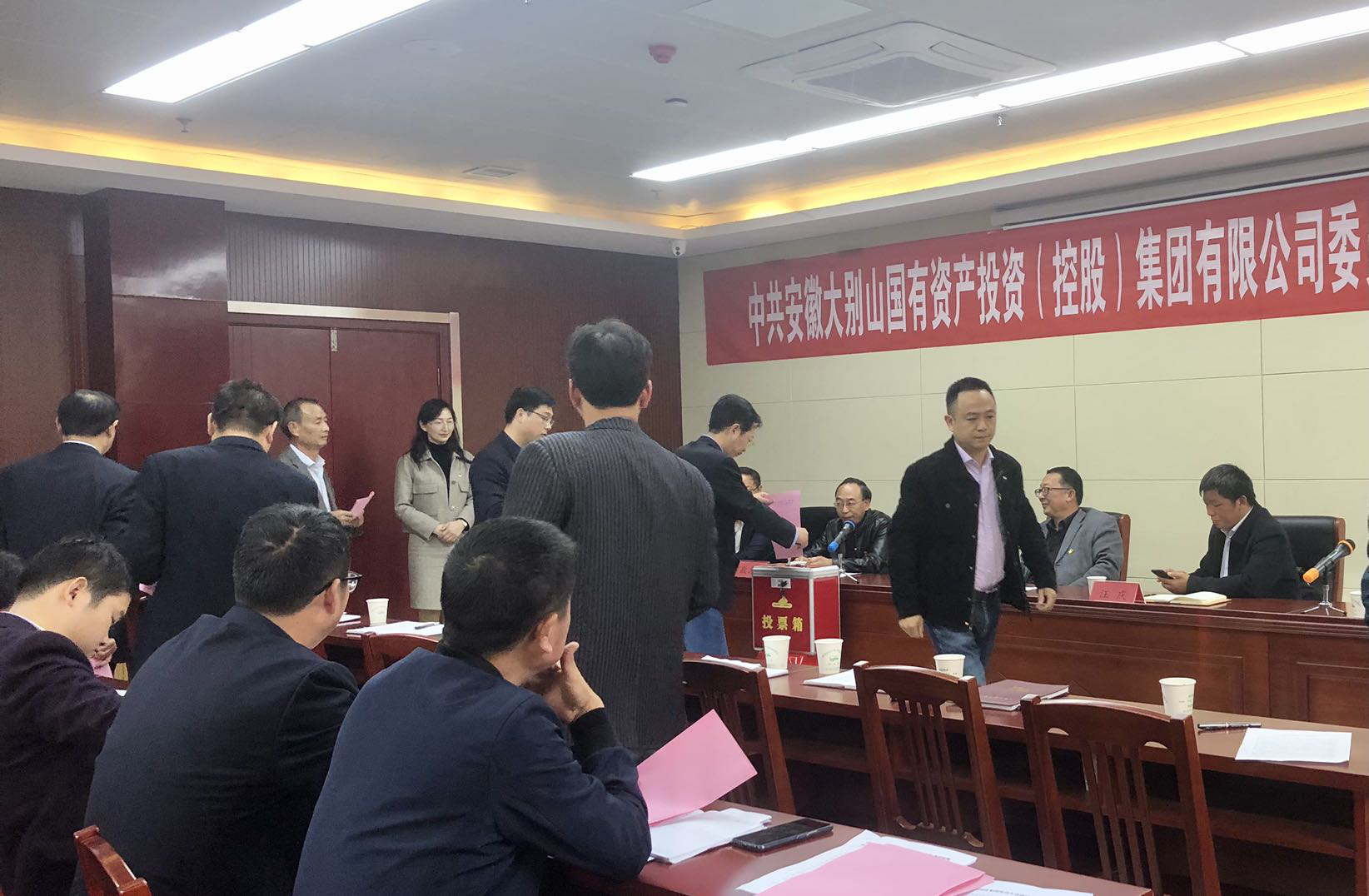 大別山國投集團(tuán)黨委、紀(jì)委正式成立